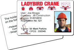 Ladybird Training In-House Cards